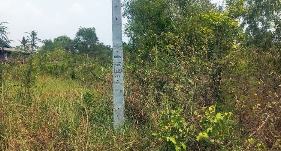 For sale land in Ongkharak, Nakhon Nayok