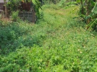 For sale land in Mueang Chiang Rai, Chiang Rai