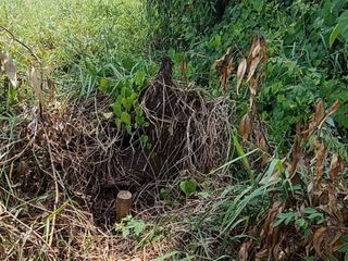 Продажа Участок в Mueang Chachoengsao, Чаченгсау