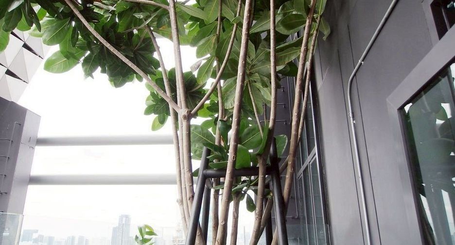 Condo en alquiler de 1 habitaciones en Pathum Wan, Bangkok