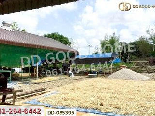 For sale land in Mueang Lampang, Lampang