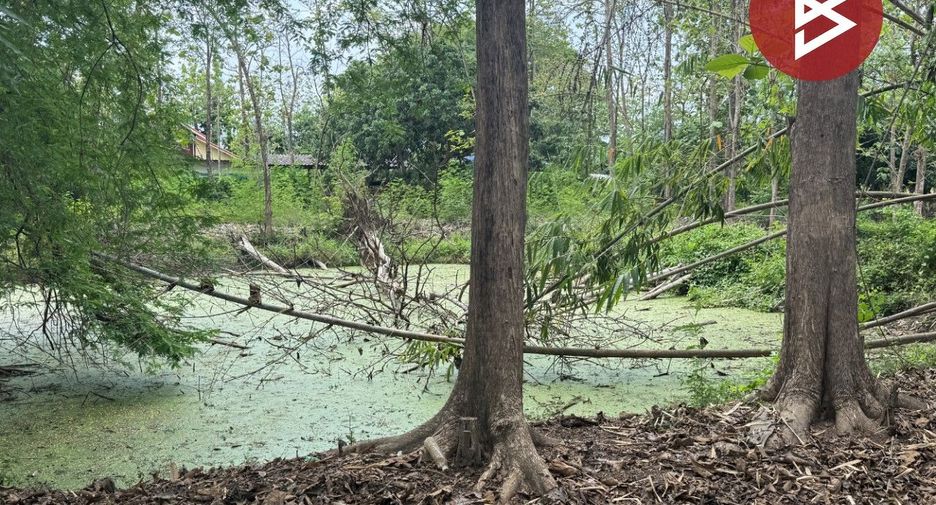 For sale land in Doi Saket, Chiang Mai