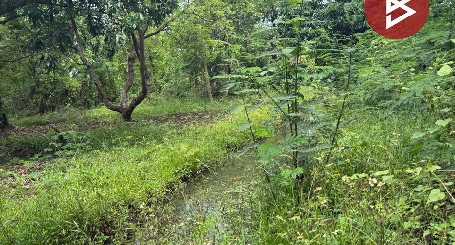 For sale land in Doi Saket, Chiang Mai