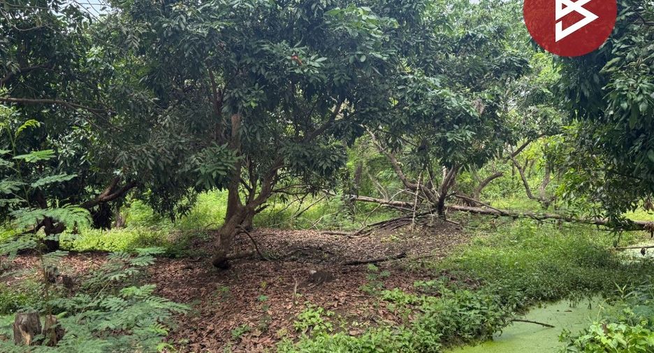 For sale land in Doi Saket, Chiang Mai
