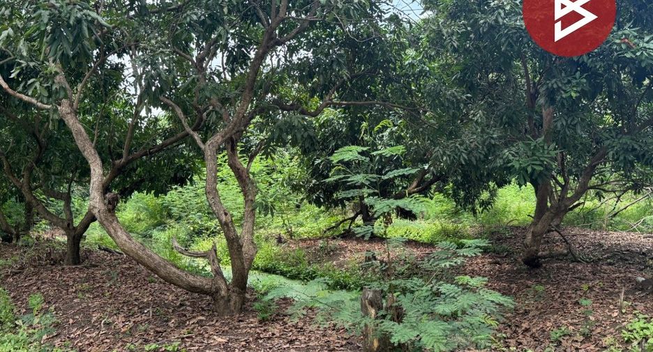 For sale land in Doi Saket, Chiang Mai