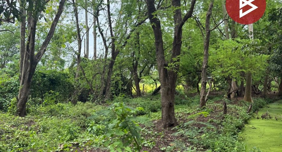For sale land in Doi Saket, Chiang Mai