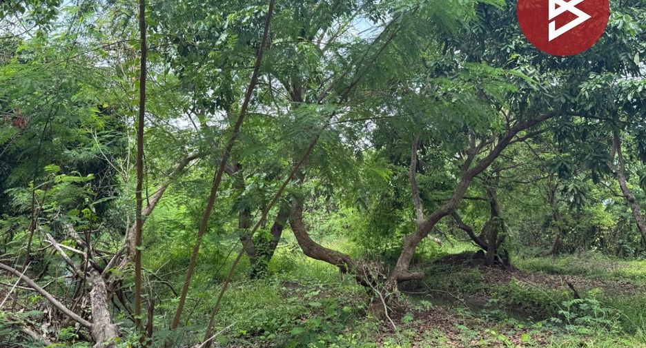 For sale land in Doi Saket, Chiang Mai