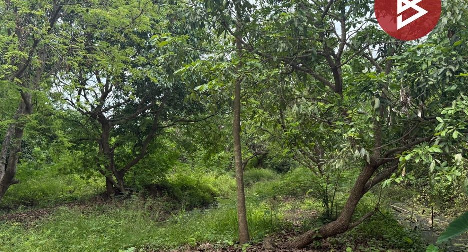 For sale land in Doi Saket, Chiang Mai