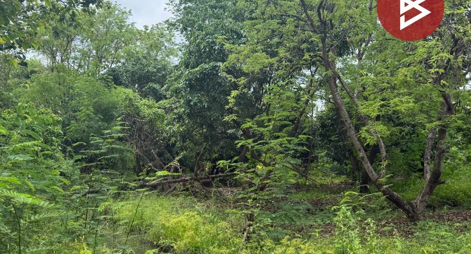 For sale land in Doi Saket, Chiang Mai