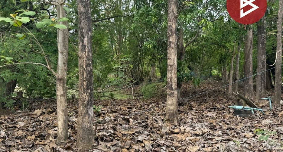 For sale land in Doi Saket, Chiang Mai