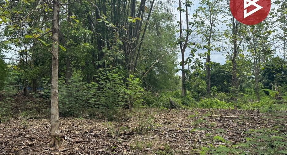 For sale land in Doi Saket, Chiang Mai