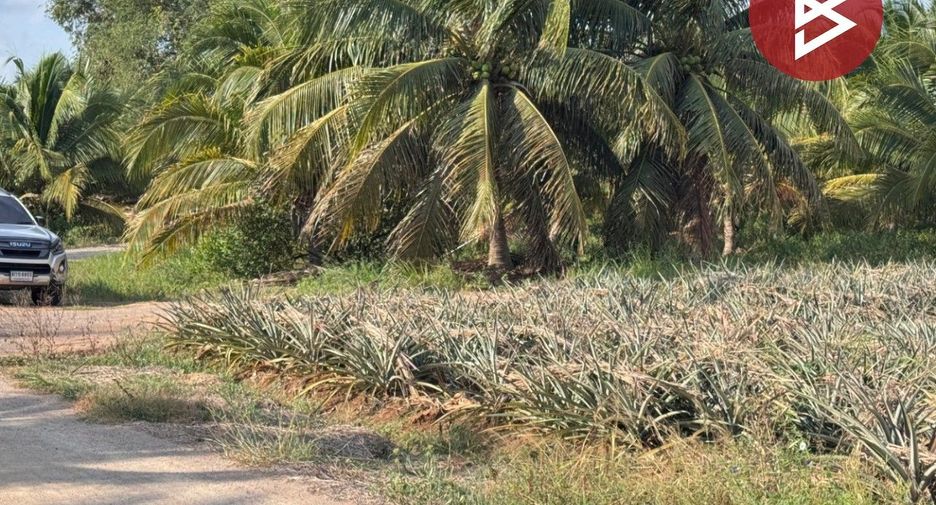 For sale land in Mueang Prachuap Khiri Khan, Prachuap Khiri Khan
