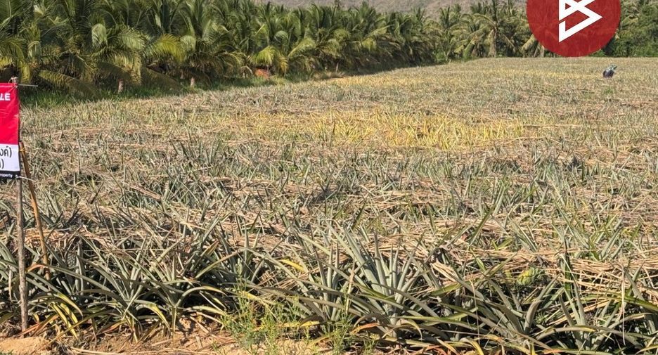 For sale land in Mueang Prachuap Khiri Khan, Prachuap Khiri Khan