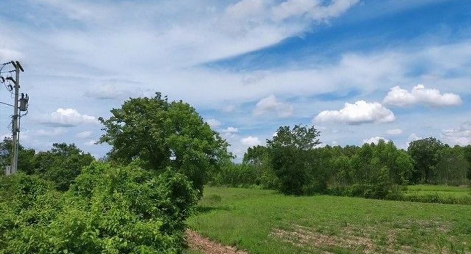 For sale land in Prachantakham, Prachin Buri