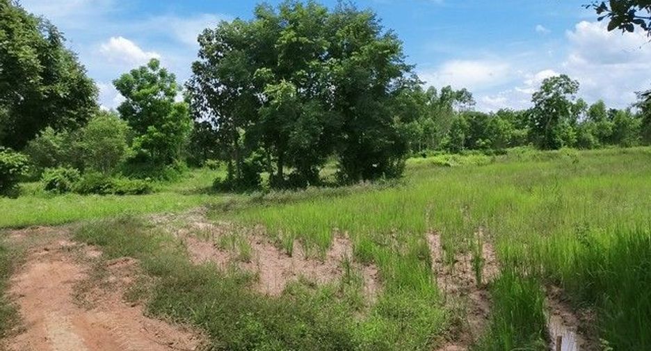 For sale land in Prachantakham, Prachin Buri