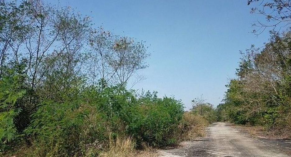 For sale land in Prachantakham, Prachin Buri