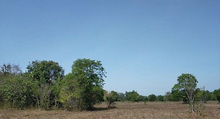 For sale land in Prachantakham, Prachin Buri