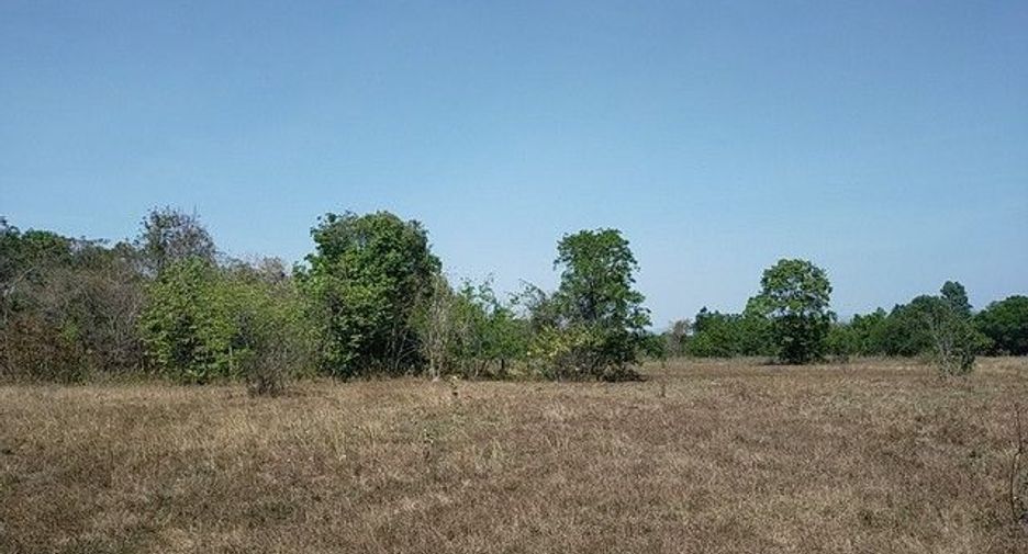For sale land in Prachantakham, Prachin Buri