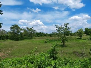 For sale land in Prachantakham, Prachin Buri