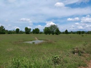 For sale land in Prachantakham, Prachin Buri