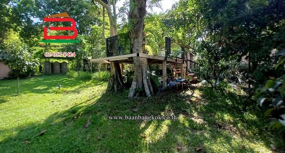 出售 土地 在 Mueang Nakhon Nayok, Nakhon Nayok