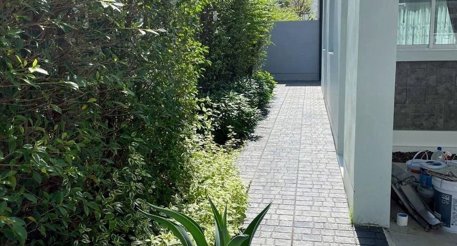 For rent 3 ベッドルーム townhouse in Prawet, Bangkok