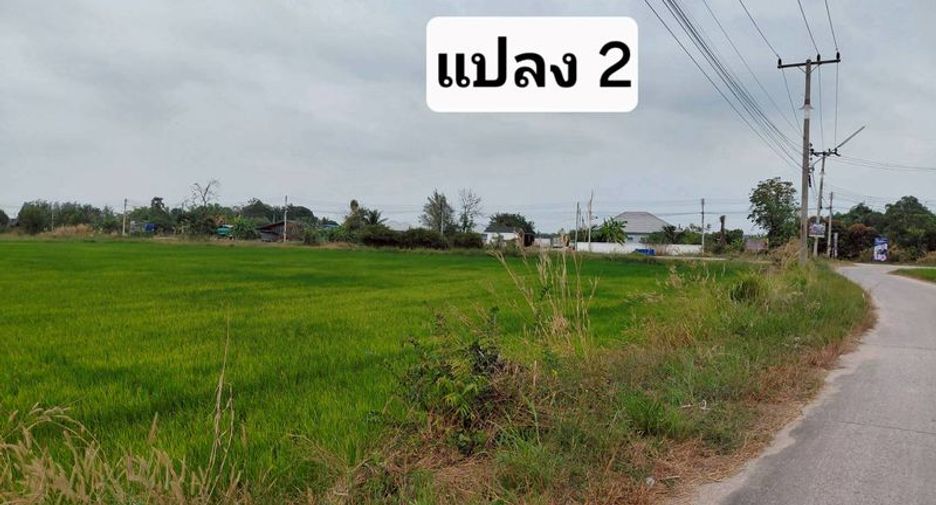 À vendre terrain à Phan Thong, Chonburi