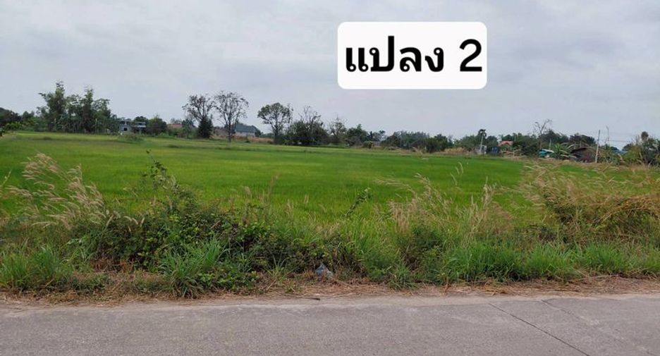 À vendre terrain à Phan Thong, Chonburi