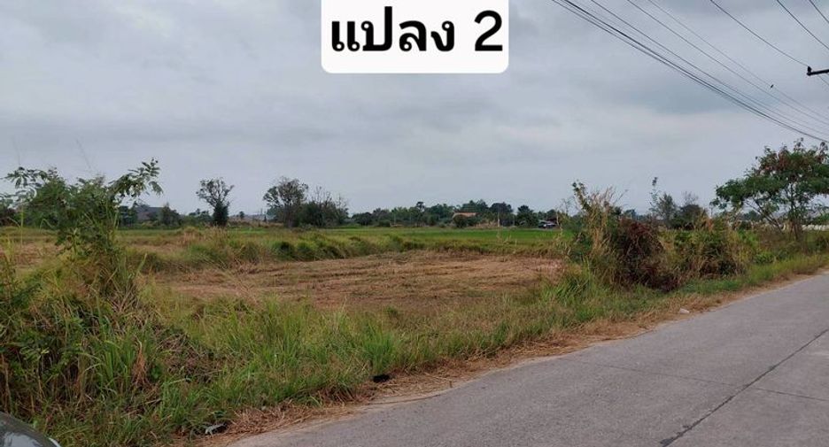À vendre terrain à Phan Thong, Chonburi