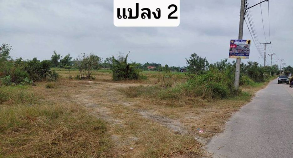 À vendre terrain à Phan Thong, Chonburi