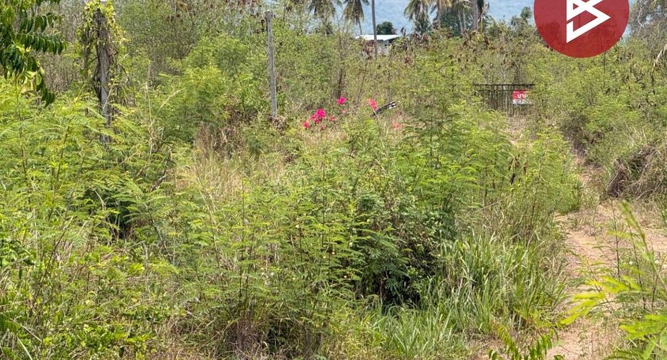 For sale land in Thap Sakae, Prachuap Khiri Khan