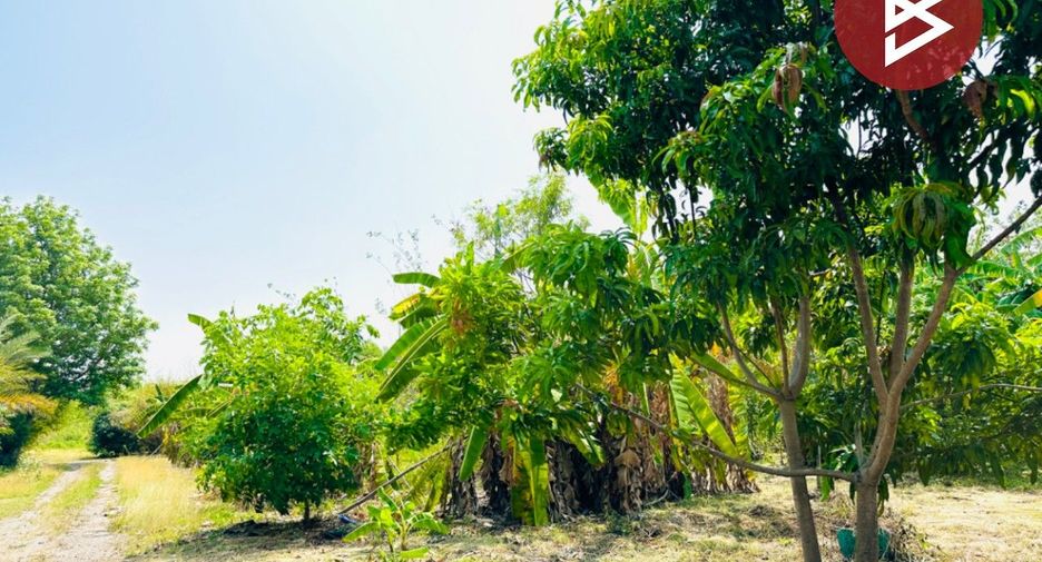 For sale land in Phra Phutthabat, Saraburi