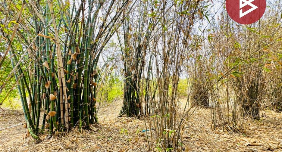 For sale land in Phra Phutthabat, Saraburi