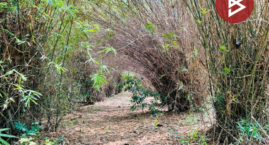 For sale land in Phra Phutthabat, Saraburi