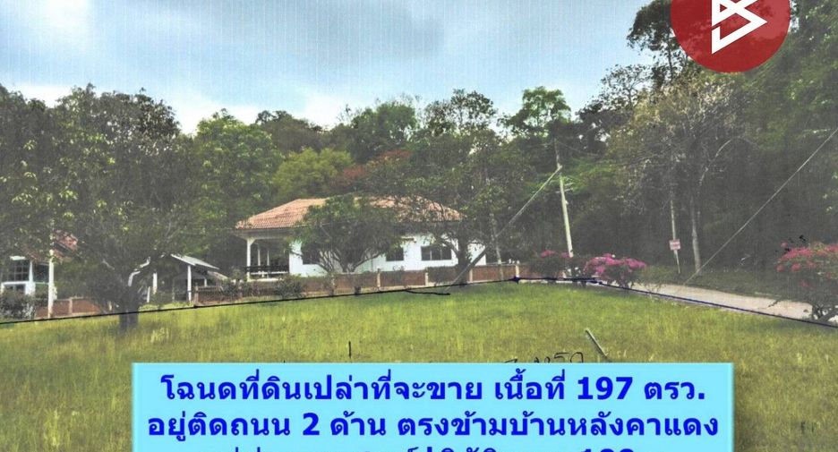 For sale land in Pak Chong, Nakhon Ratchasima