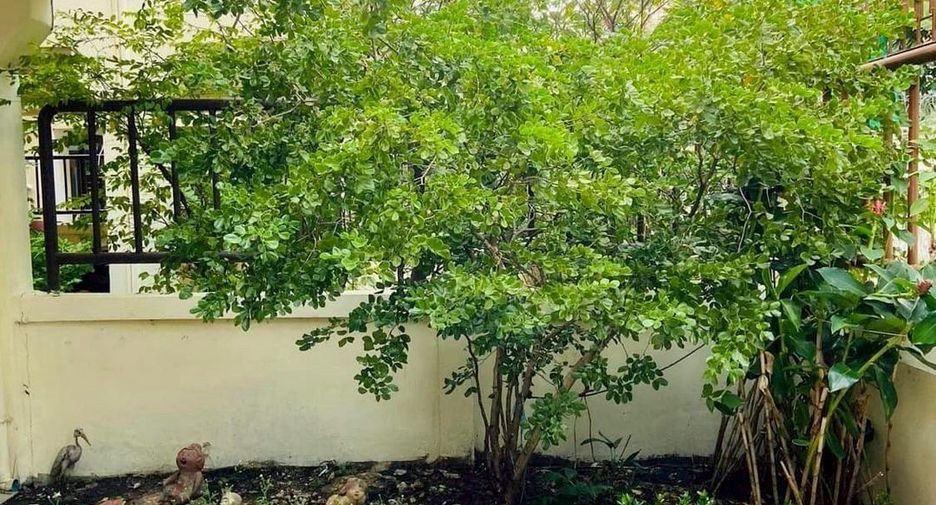 For rent 4 bedrooms house in Watthana, Bangkok