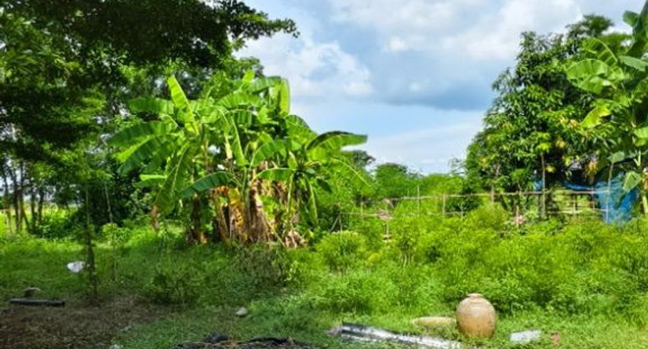 For sale land in Don Chedi, Suphan Buri