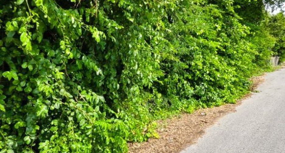 For sale land in Don Chedi, Suphan Buri