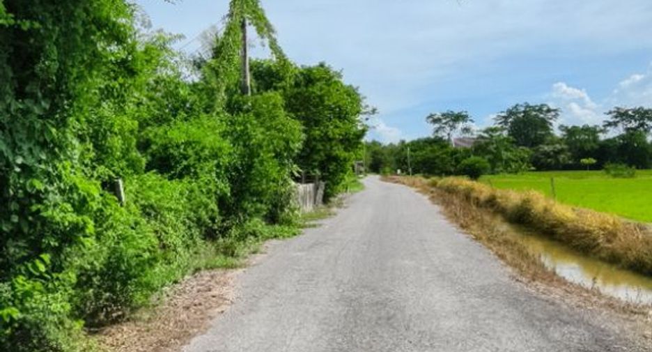 For sale land in Don Chedi, Suphan Buri