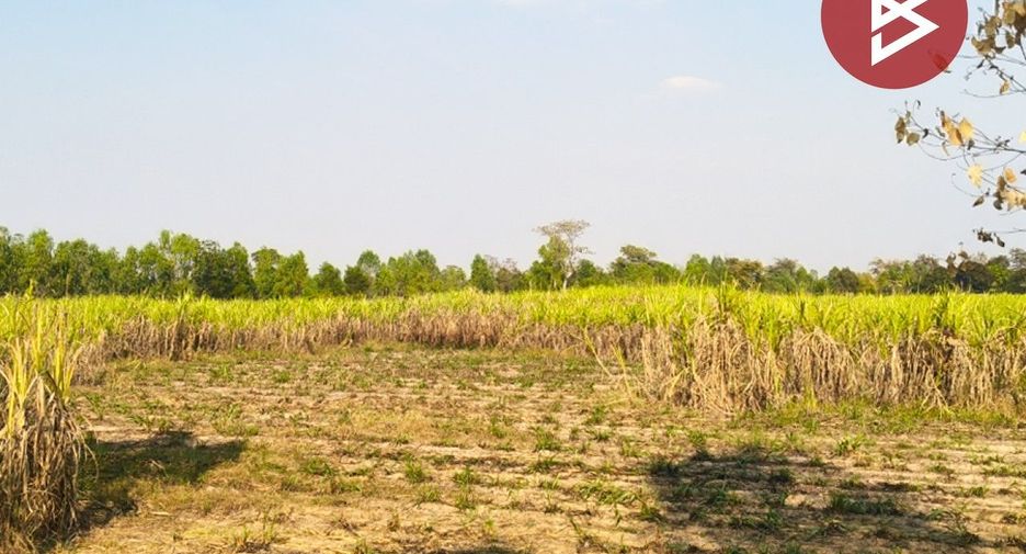 For sale land in Prakhon Chai, Buriram