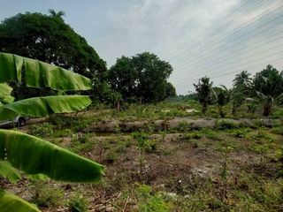 出售 土地 在 Mueang Samut Sakhon, Samut Sakhon