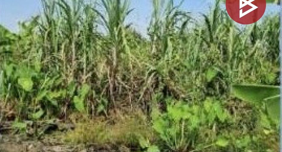 Terreno en venta en Sam Khok, Pathum Thani