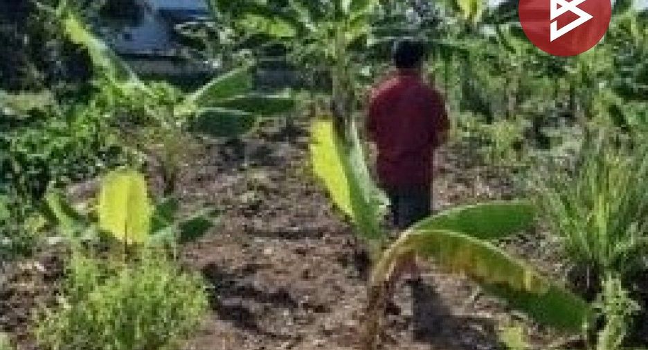 Terreno en venta en Sam Khok, Pathum Thani