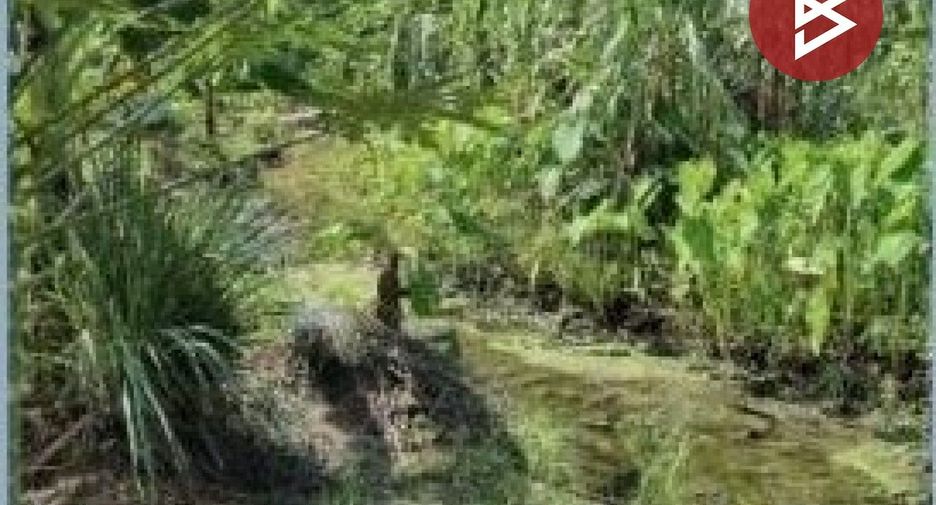 Terreno en venta en Sam Khok, Pathum Thani