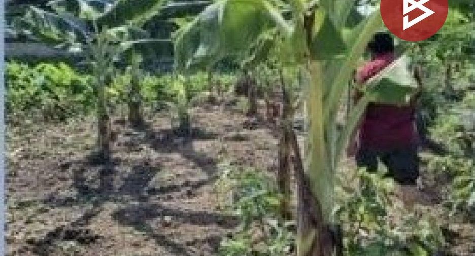Terreno en venta en Sam Khok, Pathum Thani