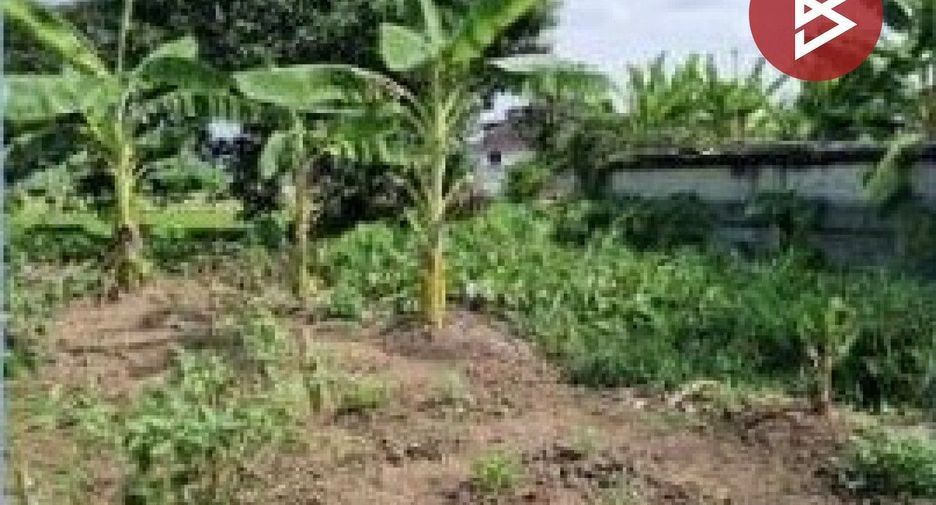 Terreno en venta en Sam Khok, Pathum Thani