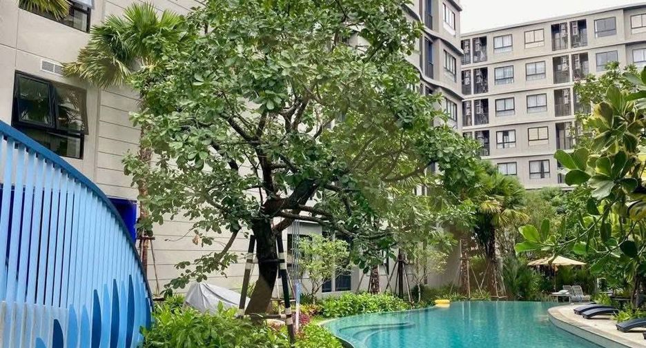 For rent 1 bed condo in Kathu, Phuket