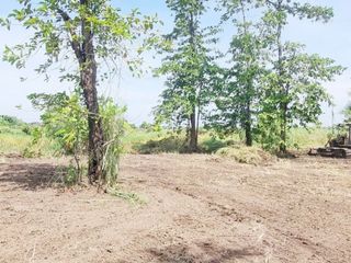 出售 土地 在 Mueang Chachoengsao, Chachoengsao