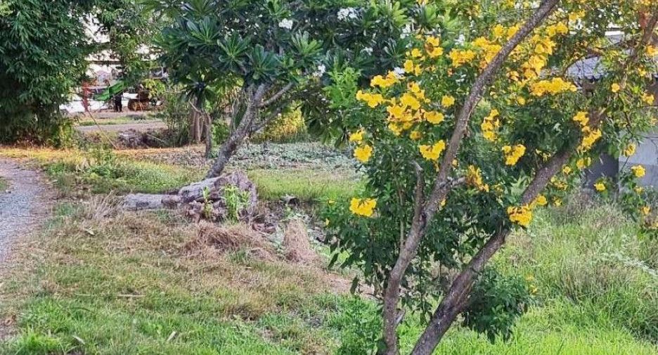 出售 土地 在 Mueang Chachoengsao, Chachoengsao