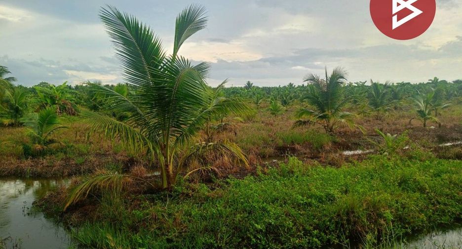 For sale land in Wat Phleng, Ratchaburi